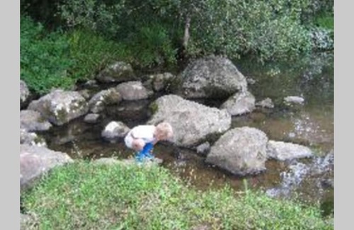 Amahlathi Apartamento | Hornbills Forest Cottages