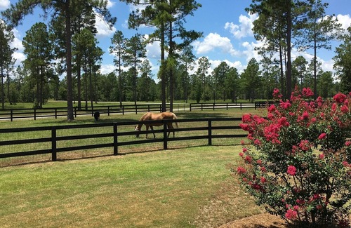 Aiken Casa | Horse Country Retreat Perfect for STEEPLECHASE or MASTERS or WINTER