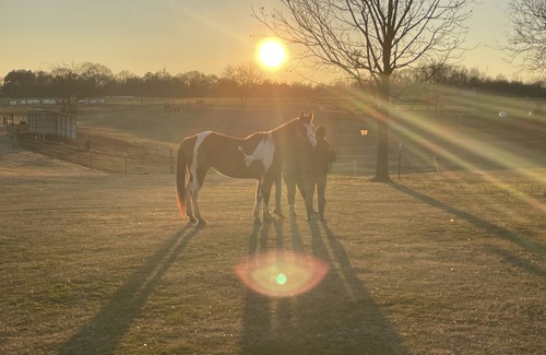 Seneca Casa | Horses, Big Sky, Tiny Home and Boat and Horse Trailer Parking