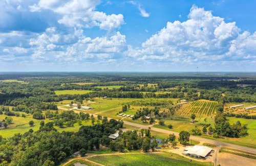 Pittsburg Casa | Horses Welcome Pittsburg Home Near Wineries!