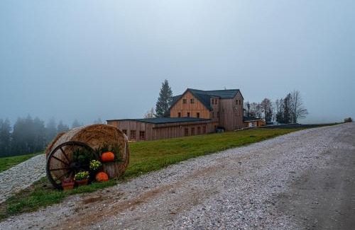 Cerny Dul Chalet De Esquí | Horská bouda Krakonoš