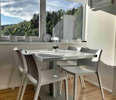 Rokytnice nad Jizerou Apartamento | Horský apartmán s výhledem na Lysou horu