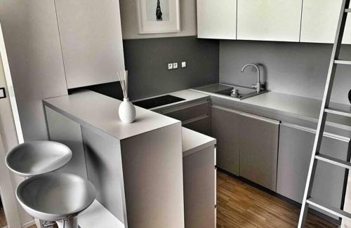Rokytnice nad Jizerou Apartamento | Horský apartmán s výhledem na Lysou horu
