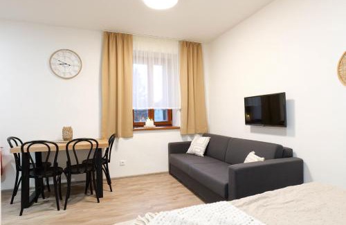 Loucna Pod Klinovcem Apartamento | Horský klid Klínovec