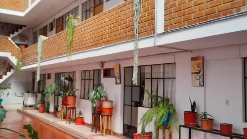 Oxapampa Casa | HOSPEDAJE D`NOA En el centro de Oxapampa