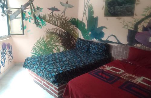 Comitán de Domínguez Casa | Hospedaje los foraneos