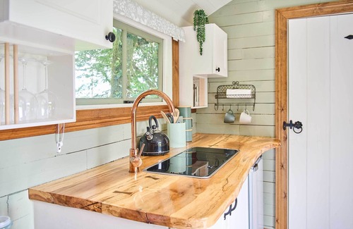 Bideford Cabina | Host & Stay | Dipple Farm Shepherds Hut