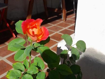 Los Reartes Casa | Hostal Antigua Casa Criolla