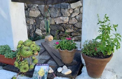 Los Reartes Casa | Hostal Antigua Casa Criolla