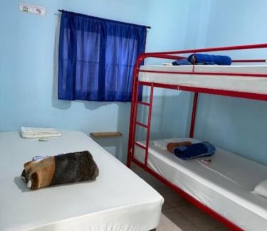 Colon Casa | HOSTAL BLUE OASIS AQUAMAr