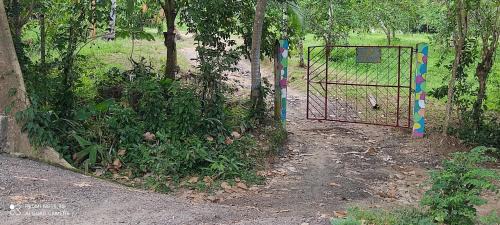 Guachaca Casa | Hostal Brisas del Campo