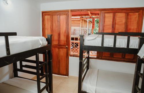 Palomino Casa | Hostal Casa Celeste
