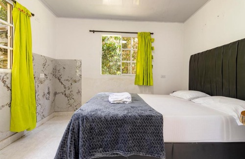 Palomino Casa | Hostal Casa del Rio