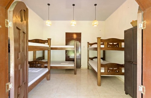 Palomino Casa | Hostal Casa del Rio