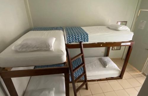 Zona Centro Casa | Hostal Casa Huasteca
