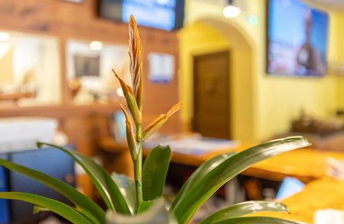 Colonia Sant Jordi Casa | Hostal Doris - Adults Only