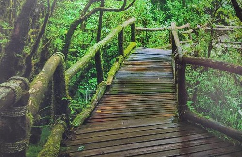 Province of Toledo Casa | Hostal El Bosque Encantado Toledo