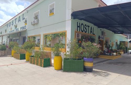 Jumilla Casa | Hostal Fuente del Pino