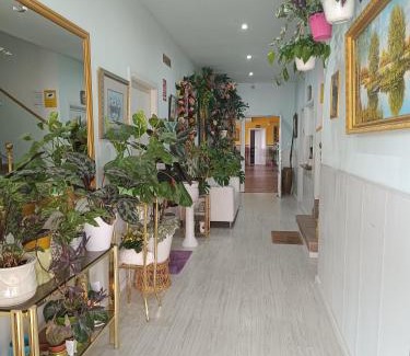Jumilla Casa | Hostal Fuente del Pino