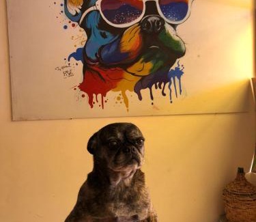 Downtown La Paz Hotel | Hostal Home In La Paz