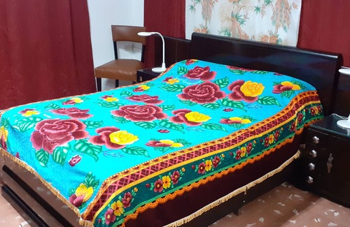 Old Havana Casa | Hostal Mendieta