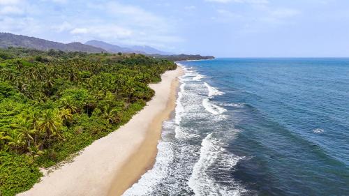 Palomino Casa | Hostal MOCAMBO BEACH