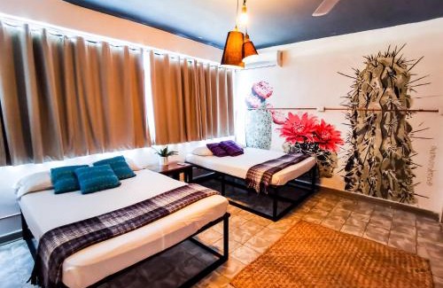 Cuatro Ciénegas Hotel | Hostal Casa Los Abuelos