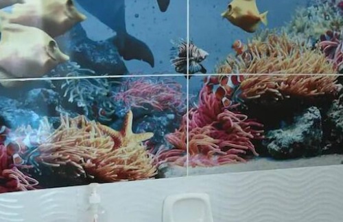 Cojimíes Apartamento | Hostal Palmera Alcoba 3