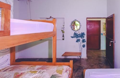 Palomino Cabina | Hostal Palomino EcoHouse & Camping