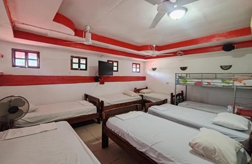 Leon Casa | Hostal Ruinas de San Sebastián