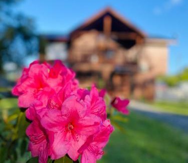 Pucon Casa | Hostal Treile