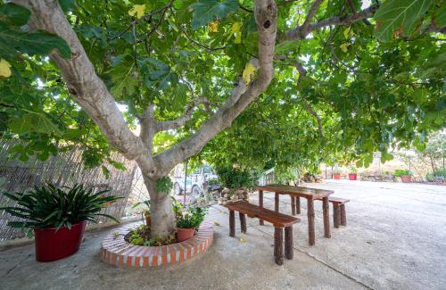 Valle de Abdalagis Casa | Hostal Vista a la Sierra