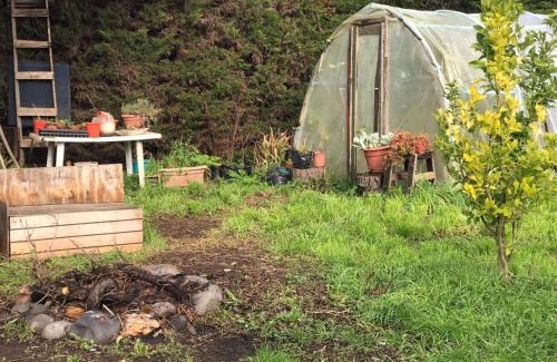 Los Angeles Apartamento | Hostal y Camping UVACHAI