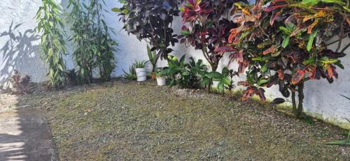 San Vicente Cama Y Desayuno | Hostal Zurgab