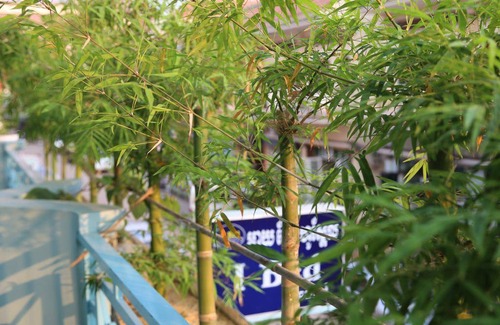 Downtown Siem Reap Hostal | Hostal ∙ 8 huéspedes