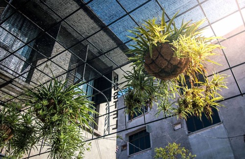 Jawa Hostal | Hostal ∙ 8 huéspedes