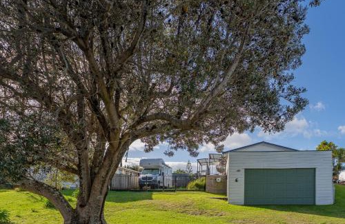 Pauanui Casa | Hosts on the Coast Cookies Cupboard