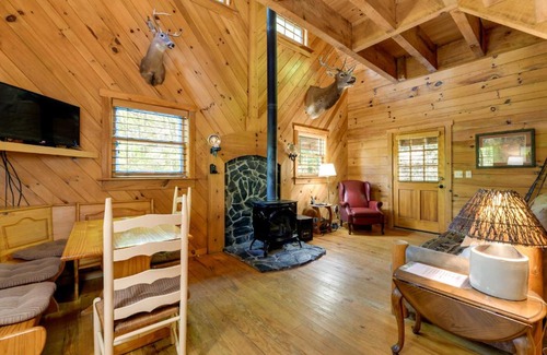 Asheville Casa | Hot Tub and Furnished Porch Balsam Grove Cabin