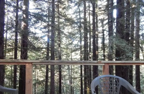 Los Gatos Casa | Hot tub Hummingbird treehouse Beach, Wine tasting