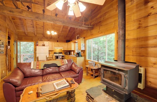 Vein Mountain Cabina | Hot Tub & Trail Access: Relaxing Marion Cabin