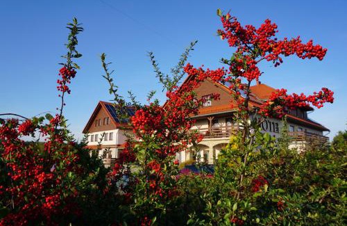 Czajowice Hotel | Hotel Łokietek