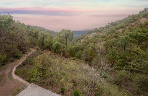 Kasauli Apartamento | Hotel Adventure Kasauli Hills l 2km From Mall Road l Restaurant l Free Wifi l By Splendid Hotels