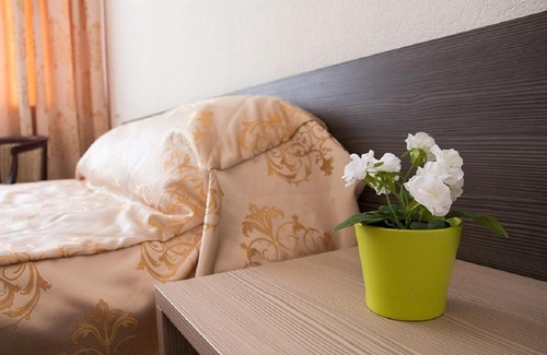 Mirnenskoe Hotel | Hotel AeroHotel