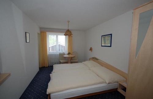 Saas Grund Hotel | Hotel Alpha