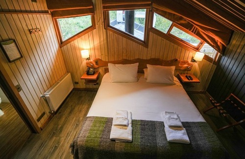 Puerto Raul Marin Balmaceda Cabina | Hotel Alto Melimoyu