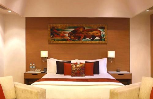 South West Hotel | Hotel Ambs Plaza IGI Airport