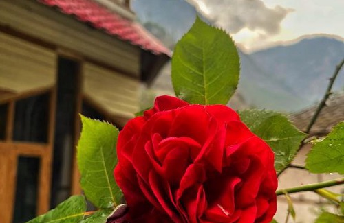 Kasol Hotel | Hotel Anupam