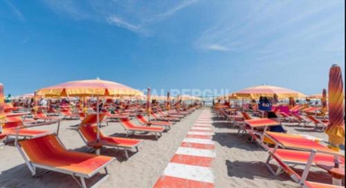 Tagliata Hotel | Hotel Arianna