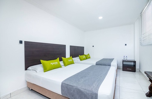 Pereira Hotel | Hotel Ayenda Olimpa 1144