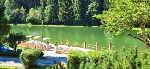 Maishofen Hotel | Hotel Bad Neunbrunnen am Waldsee - non Halal